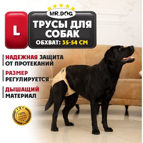      Mr Dog  ,   ,   , L   -     , -,   