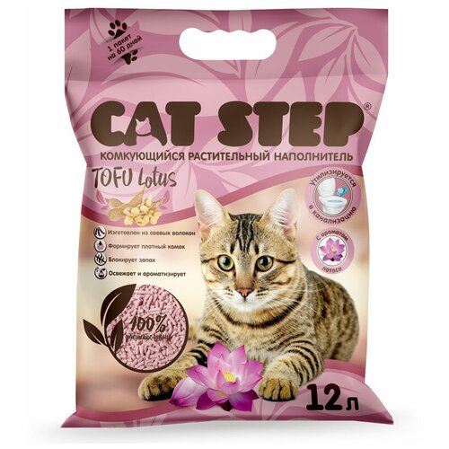     CAT STEP Tofu Lotus, 12    -     , -,   