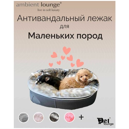       Pet Lounge - Dark Grey    -  70x90  -   ,  , ,    -     , -,   