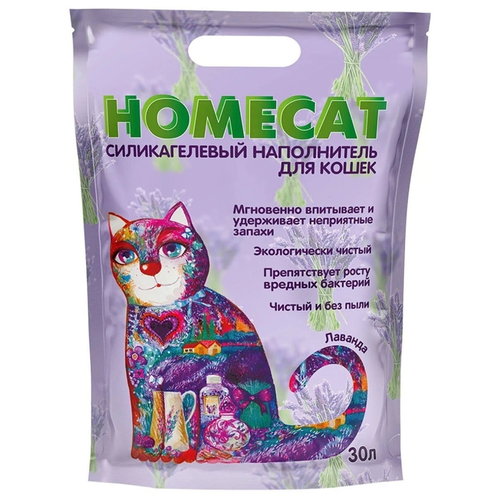  Homecat ,    , 30  (12 )   -     , -,   