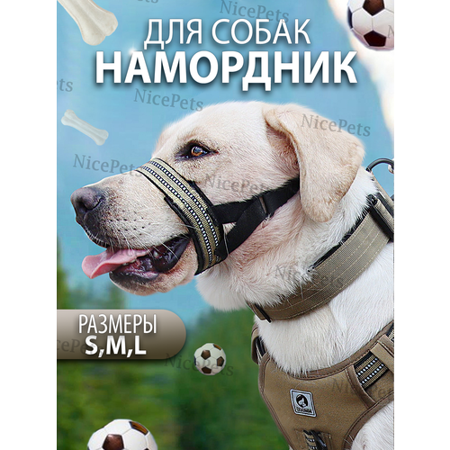 ���� ��������� ��� ����� ���� M, ������ ������