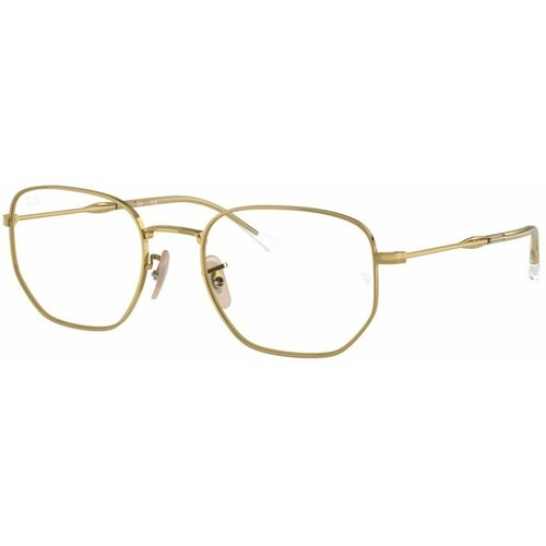 ���� Ray-Ban 0RX6496 / 53 2500, ������ ������