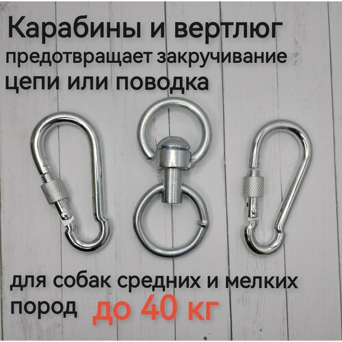 ���� �������� � ������� ��� ����� �� 40 ��, ������ ������