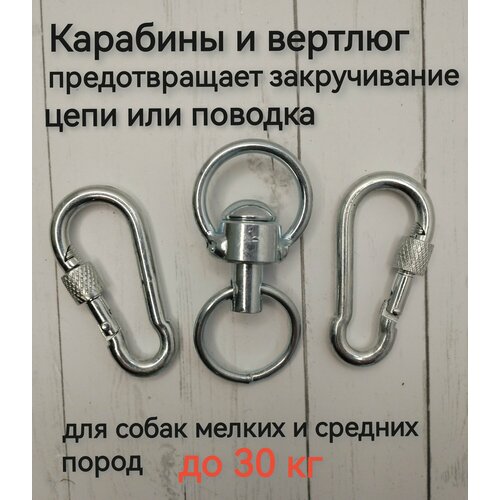 ���� �������� � ������� ��� ����� �� 30 ��, ������ ������