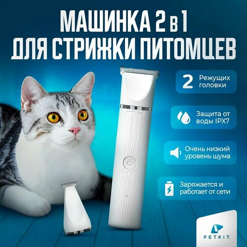 ���� ������� ��� ������� ����� � ����� PRO PETKIT, ������ ������