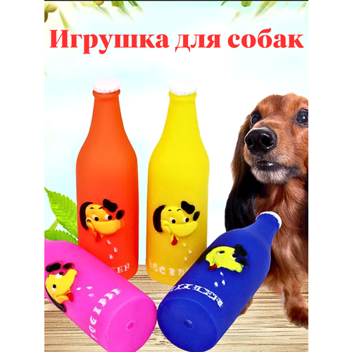���� ������� ��� �����, ������ ������