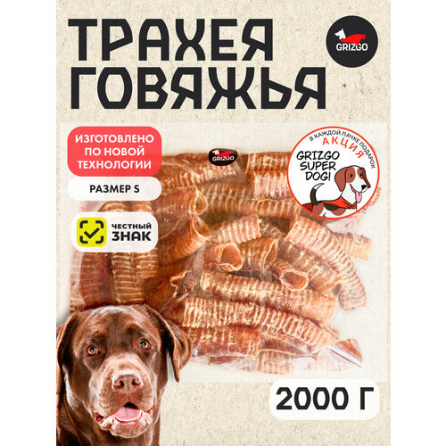 ���� ��� ������ ������� XL 2000�����, ������ ������