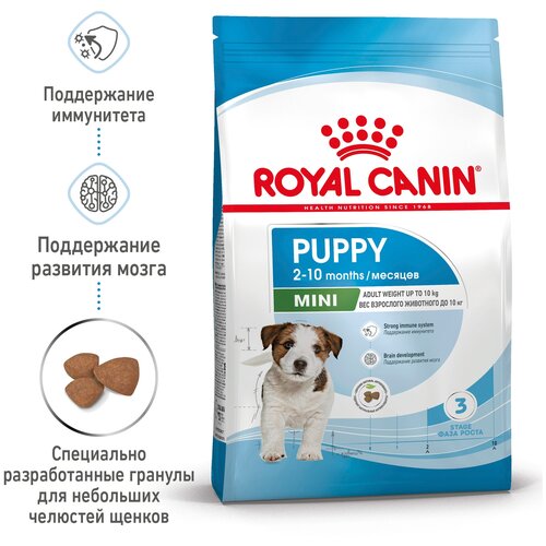 Royal Canin Mini Puppy       800    -     , -,   