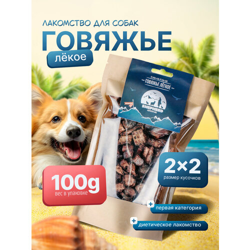 ���� ������� ������ ��� ����� 100� Shepherd, ������ ������