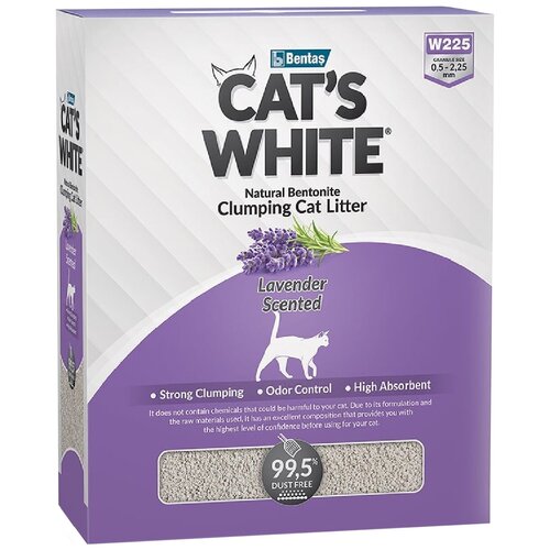  CAT'S WHITE LAVENDER BOX          (6 )