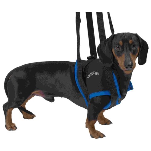    KRUUSE Walkabout harness    M-L   -     , -,   