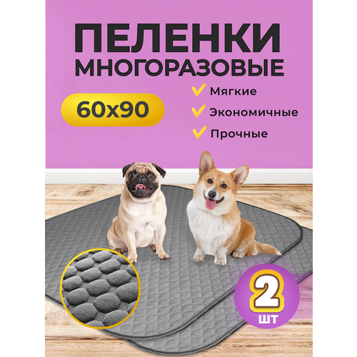     DogsParadise, 60*90 , , 2 