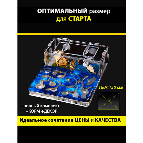 ���� ���������� ����� (����������) ���� ��� ������ AntFarmsNsk, ������ ������
