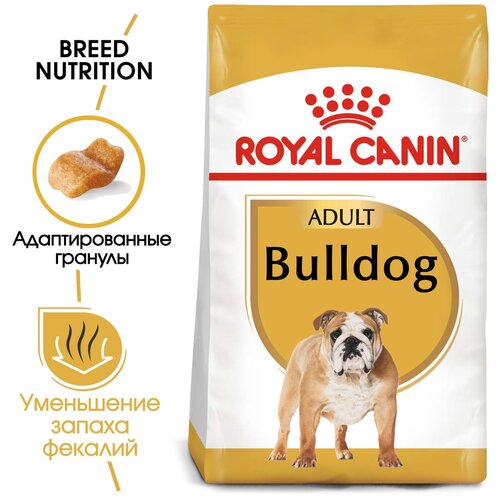  Royal Canin RC  -  :  12. (Bulldog 24) 25900300R0 3  11167 (2 )   -     , -,   