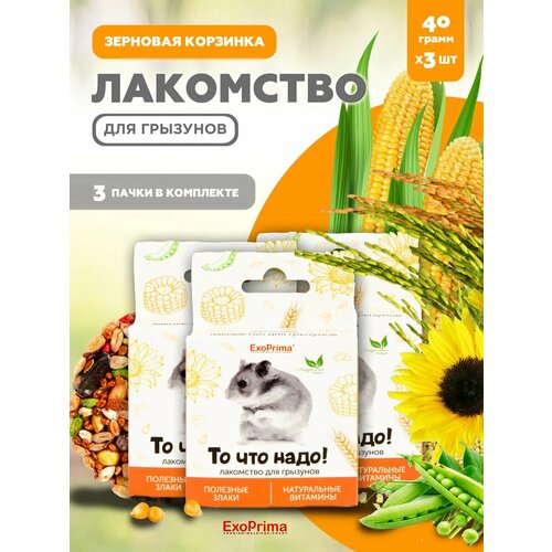 ���� ��������� ��� �������� EXOPRIMA �� ��� ����! 