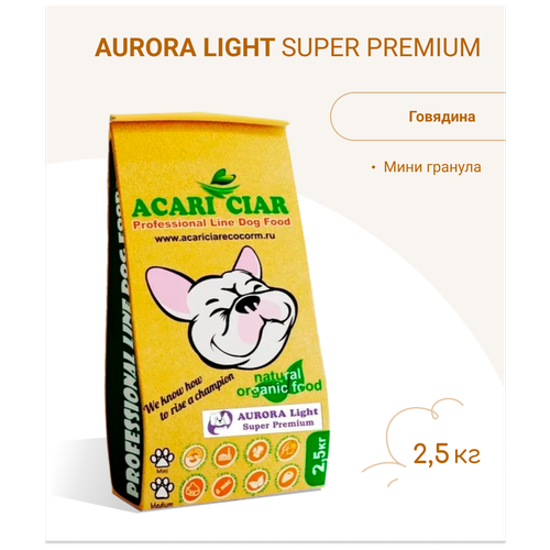      ACARI CIAR AURORA LIGHT 2,5 MINI    -     , -,   