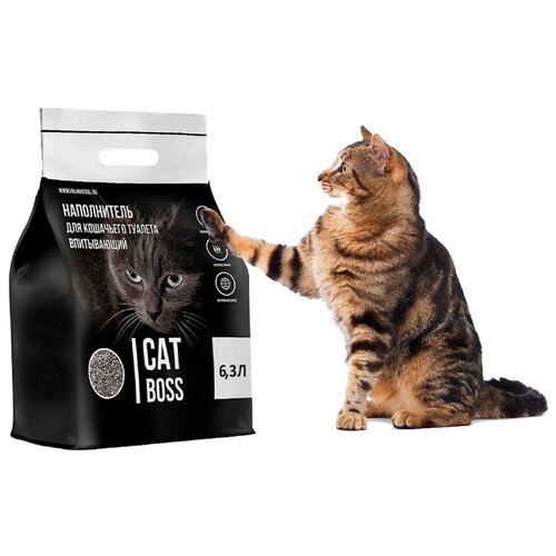 ���� ����������� ��� ��������� ������� CatBoss, ������ ������