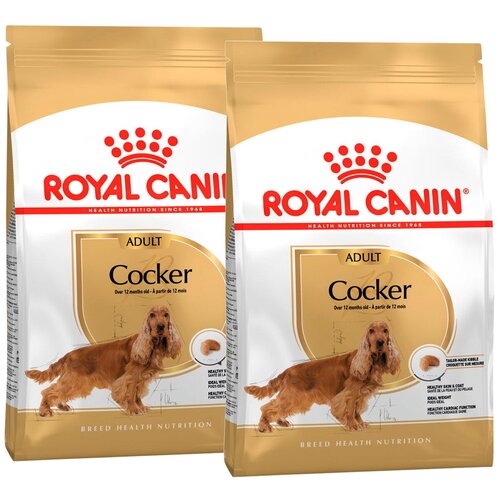 ROYAL CANIN COCKER ADULT    - (3 + 3 )   -     , -,   
