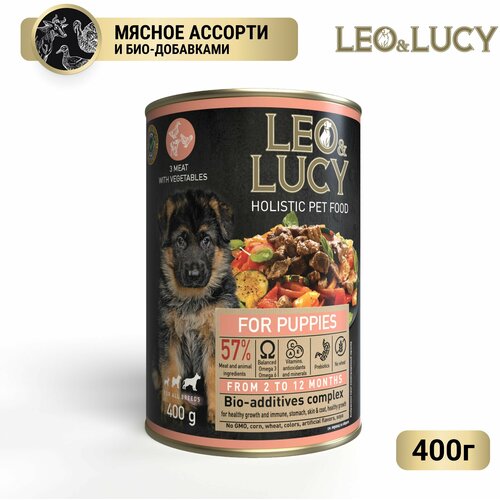   LEO&LUCY   ,     , 400    -     , -,   