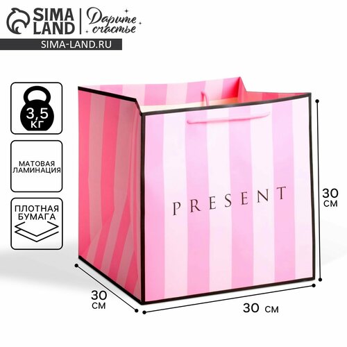 ���� ����� ���������� ���������� �Present� �������, �������, 30 ? 30 ? 30 ��, ������ ������