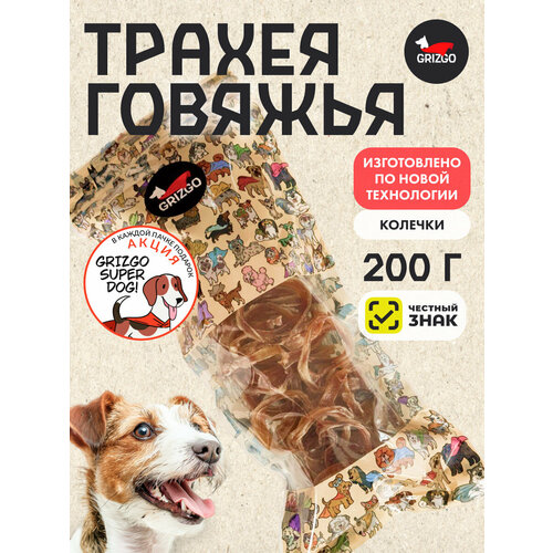 ���� ������ ������� 200�����, ������ ������