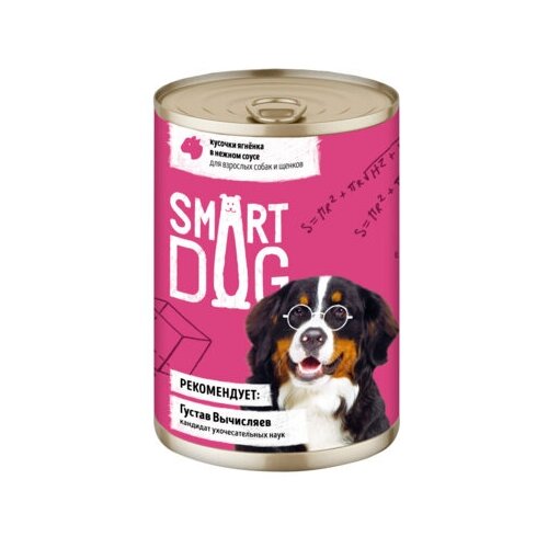  Smart Dog             2216 43733 0,24  43733 (34 )   -     , -,   