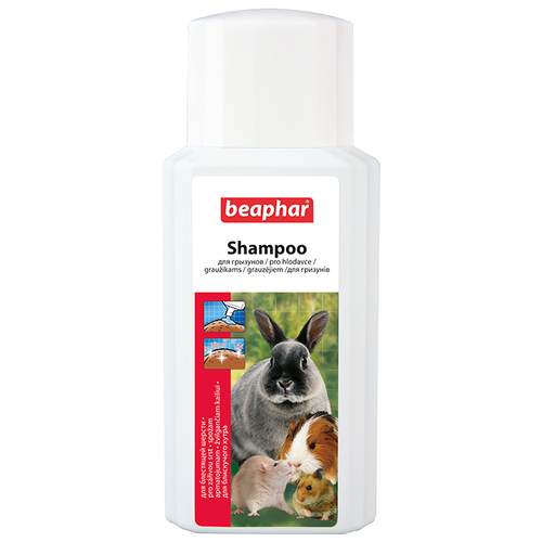   Bea Shampoo  