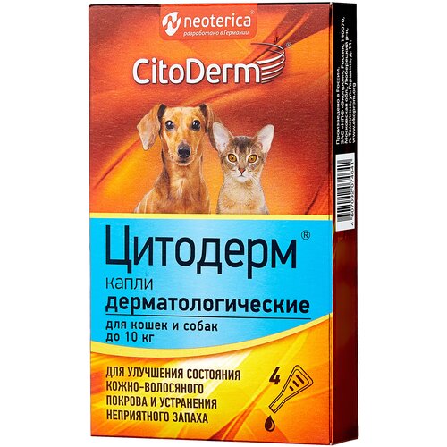 ���� ����� CitoDerm , 4 �� , 300 �, ������ ������