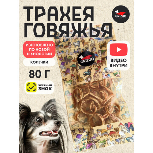���� ������ ������� �������, ������ ������