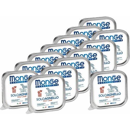  Monge Dog Monoprotein Solo B&S       150  14 .   -     , -,   