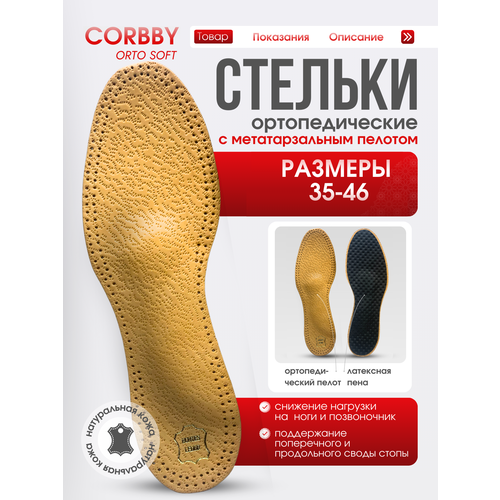 ���� ������� �������������� Orto Soft, ������ ������