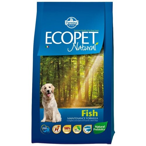  Ecopet Natural Fish Medium (        )   -     , -,   
