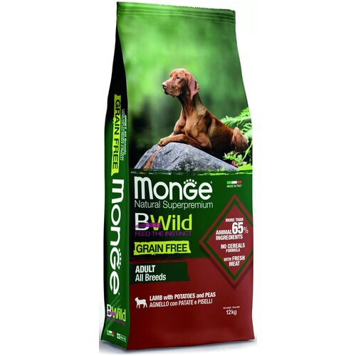    MONGE Dog BWild GRAIN FREE            2,5    -     , -,   