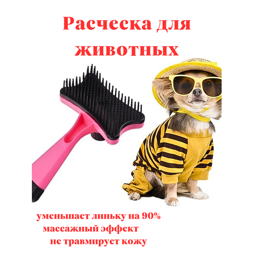 ���� �������� ��� ��������, ������ ������