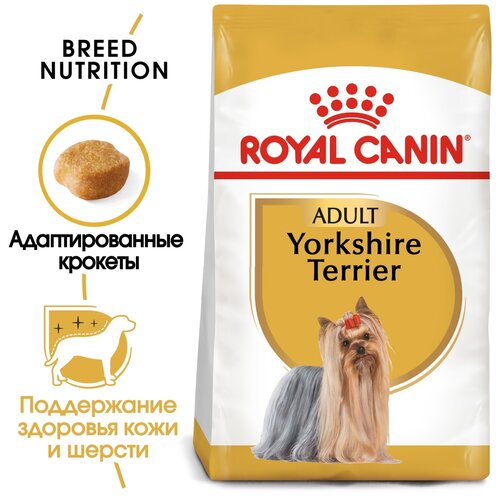  ROYAL CANIN YORKSHIRE TERRIER ADULT      (0,5   10 )   -     , -,   