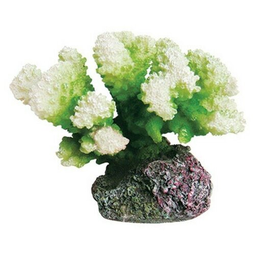  ArtUniq Coral Green -      
