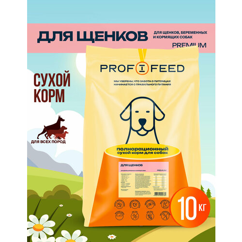 ���� ���� ��� ����� Profifeed ��� ������ 10000 �, ������ ������