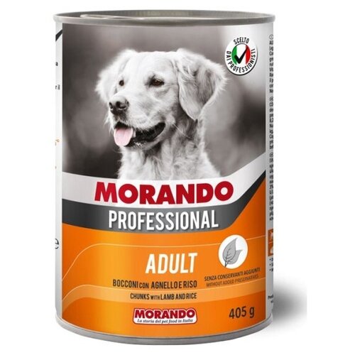  Morando Professional      (0.405 ) (6 )   -     , -,   