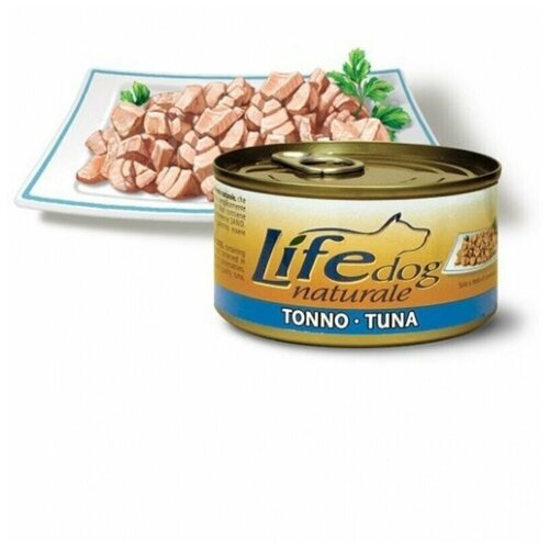  Lifedog tuna        170 124 (18 )   -     , -,   