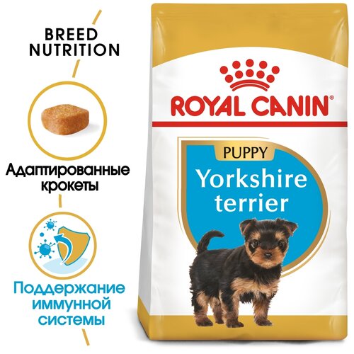  Royal Canin Yorkshire Terrier Puppy         10 , 0,5    -     , -,   