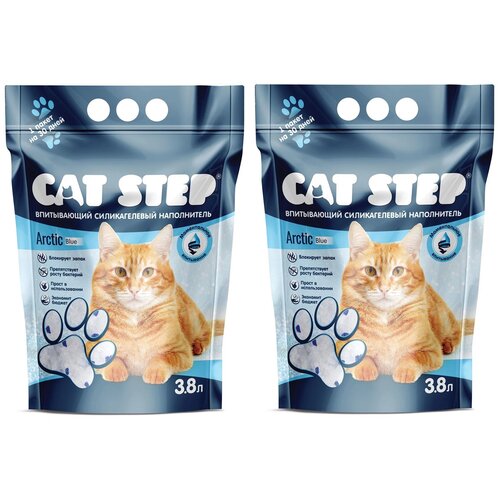  Cat Step C (3.8 ) (2 )