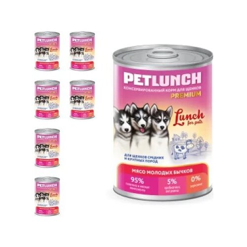    Lunch for pets         , 6  850 .   -     , -,   