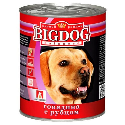       Big Dog, ,  9 .  850  (    )   -     , -,   
