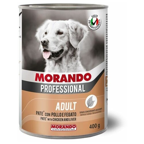  Morando Professional      (0.4 ) (5 )   -     , -,   