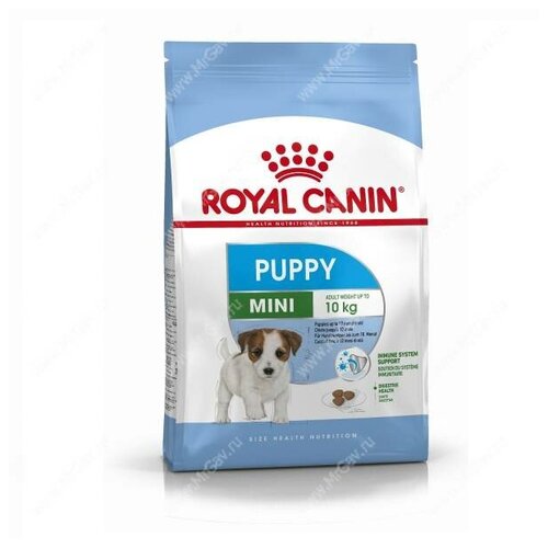   Royal Canin Mini Junior      2  10 , 0,8    -     , -,   