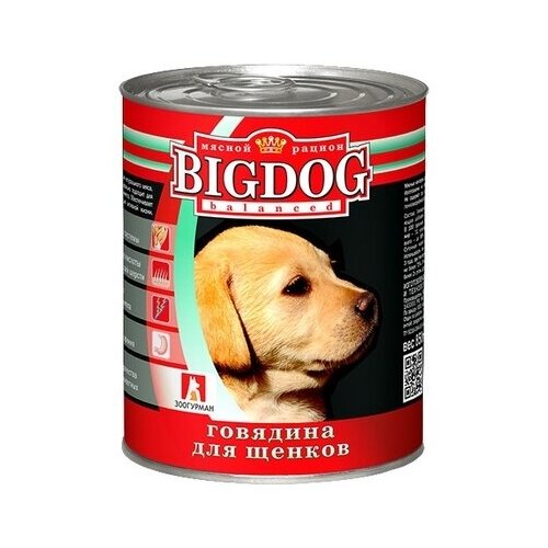      BIG DOG (1635) 0,85  18949 (18 )   -     , -,   