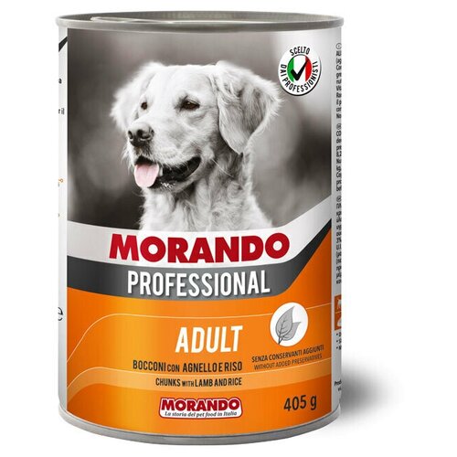    Morando Professional       , 6  405    -     , -,   