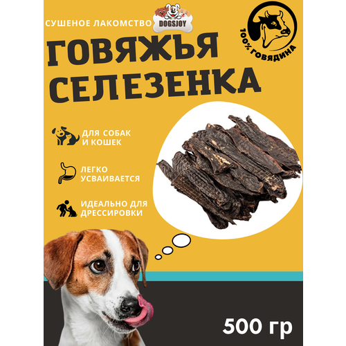  Dogsjoy    500 