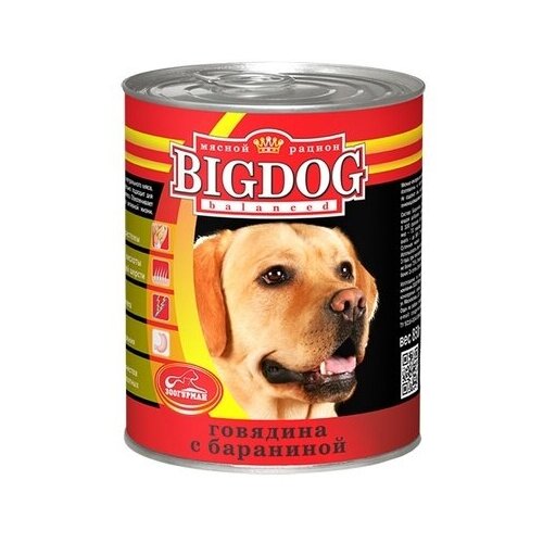     BIG DOG    (0492) 0,85  18945 (18 )   -     , -,   