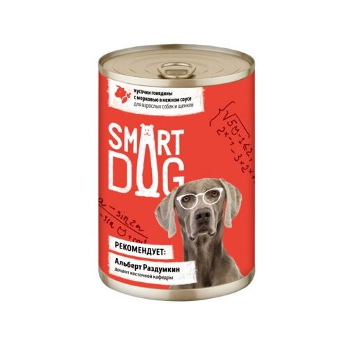  Smart Dog               2216 43737 0,24  43737 (34 )   -     , -,   